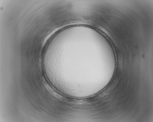 X0000052551460200507291903