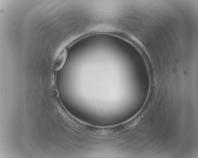 X0000052551461200507291903