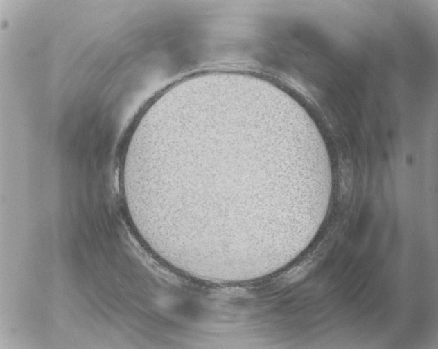 X0000052551462200507291903