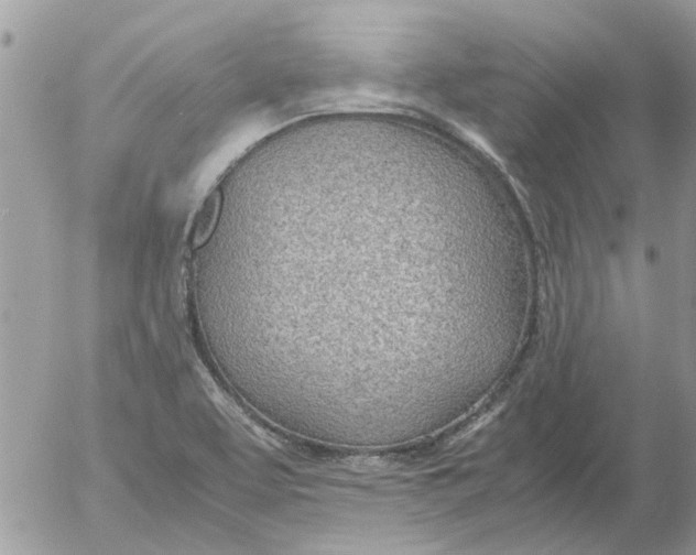 X0000052551463200507291903