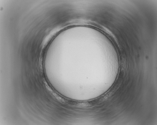 X0000052551464200507291903