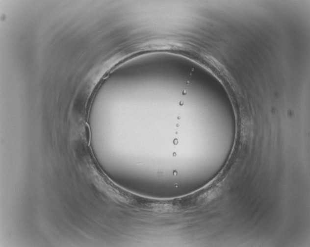 X0000052551465200507291903