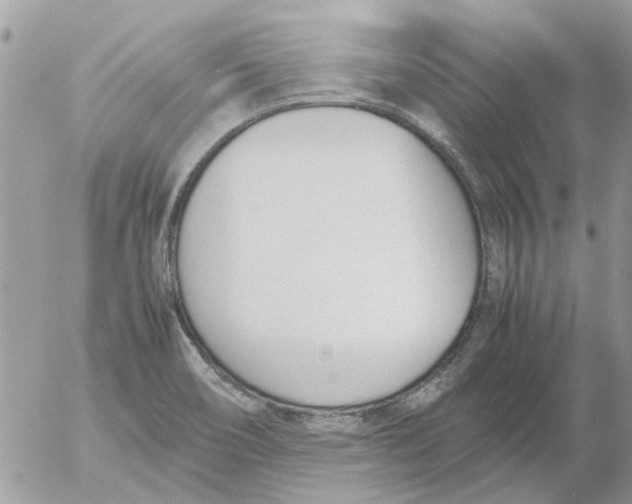 X0000052551466200507291903