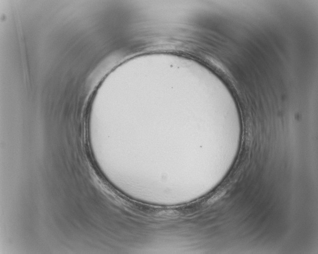 X0000052551467200507291903