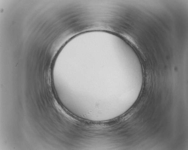 X0000052551468200507291903