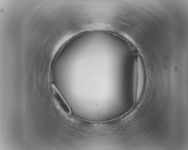 X0000052551469200507291903