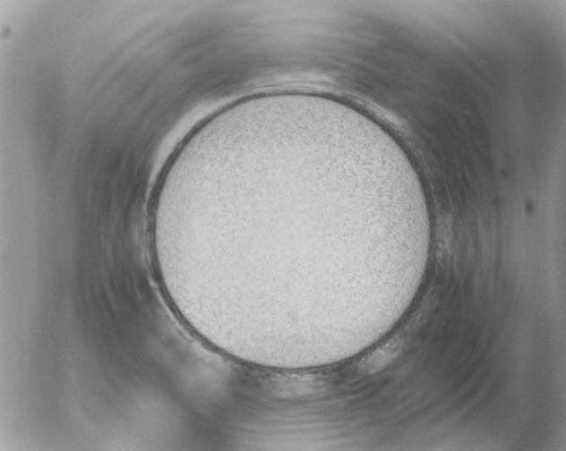 X0000052551470200507291903