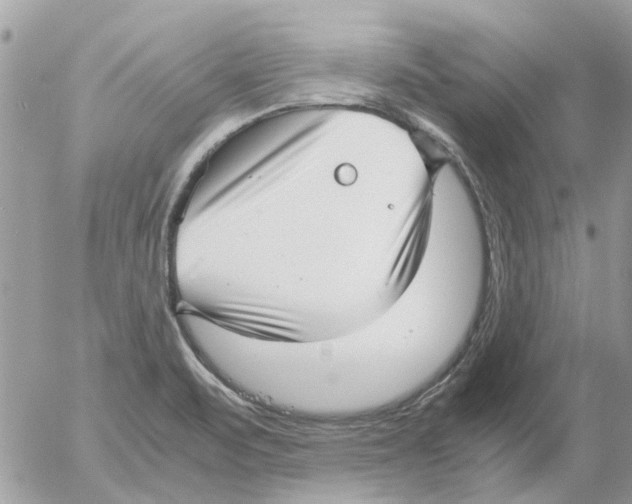 X0000052551471200507291903