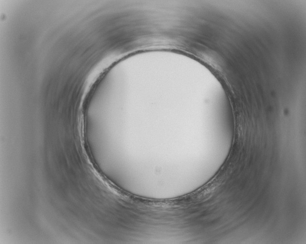 X0000052551472200507291903