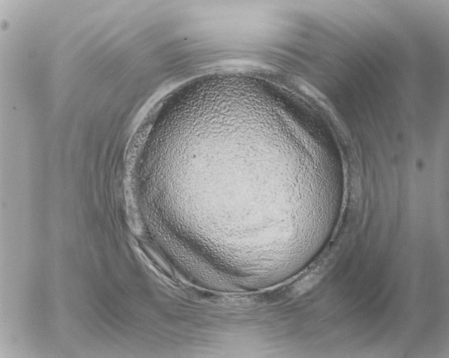 X0000052551473200507291903