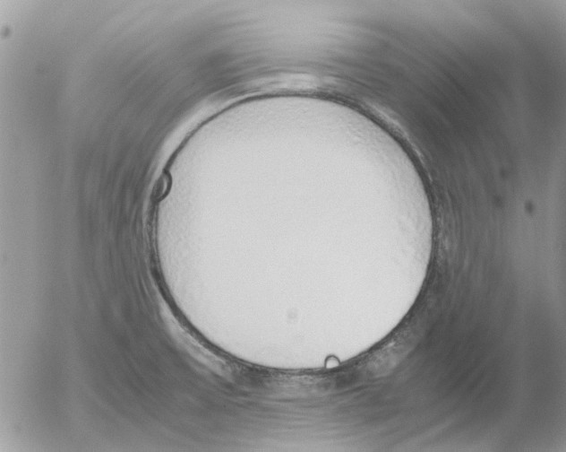 X0000052551475200507291903