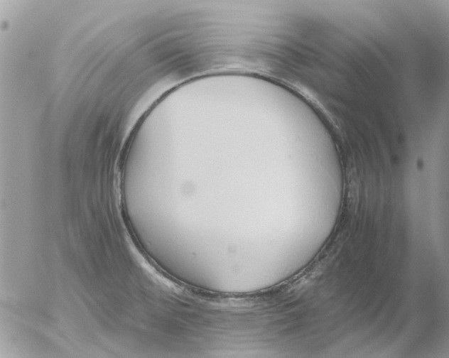 X0000052551476200507291903