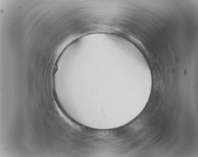 X0000052551479200507291903