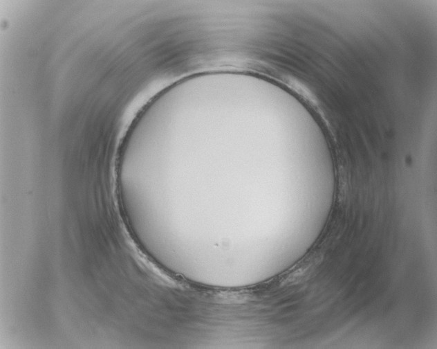 X0000052551480200507291903