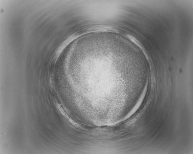 X0000052551481200507291903