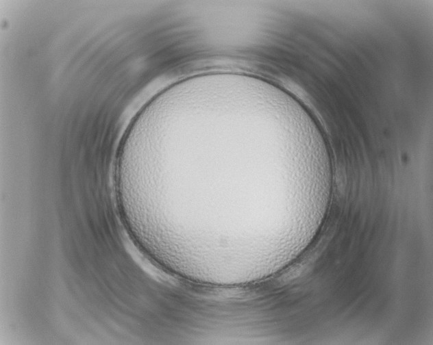 X0000052551482200507291903