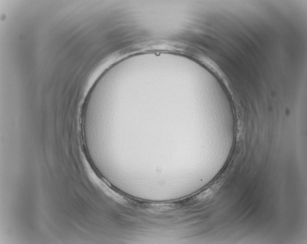 X0000052551483200507291903