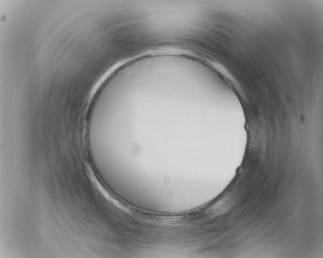 X0000052551484200507291903