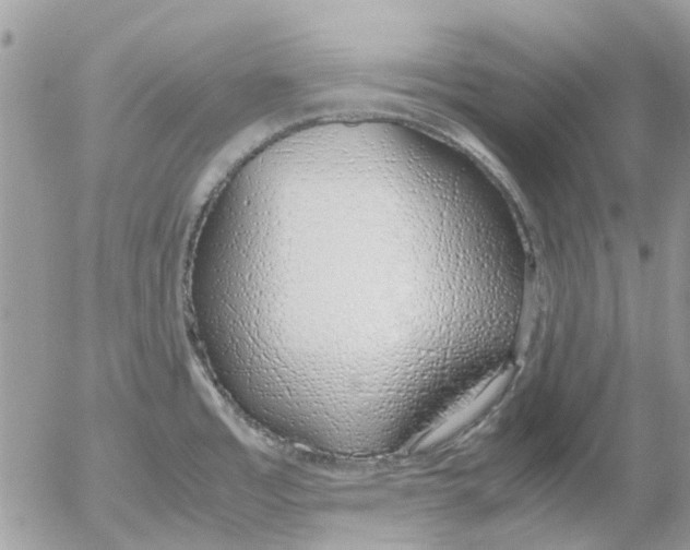 X0000052551485200507291903