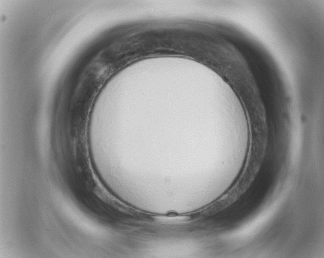 X0000052551487200507291903