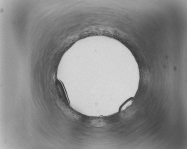 X0000052551489200507291902