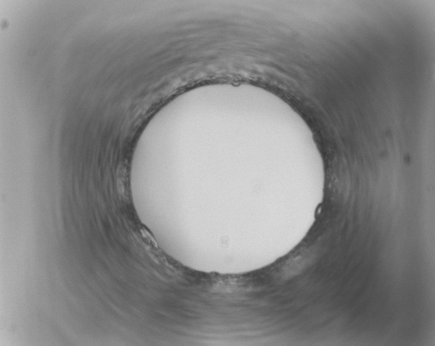 X0000052551490200507291902