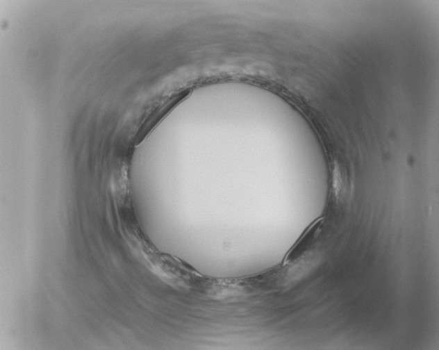 X0000052551492200507291902