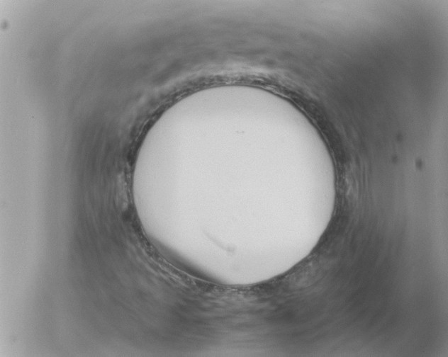 X0000052551493200507291902