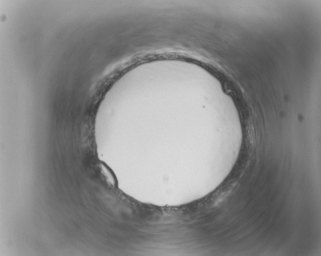 X0000052551494200507291902