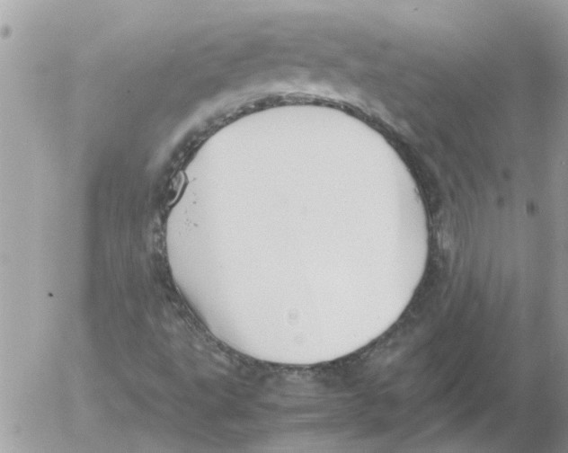 X0000052551495200507291902