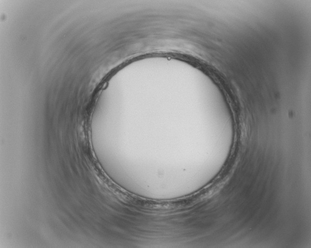 X0000052551497200507291902