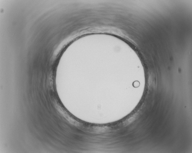 X0000052551498200507291902