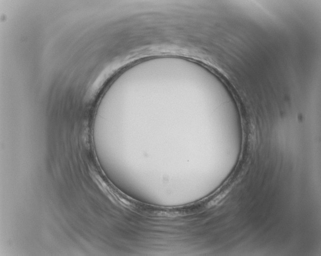 X0000052551499200507291902