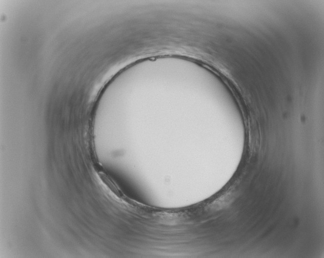 X0000052551500200507291902