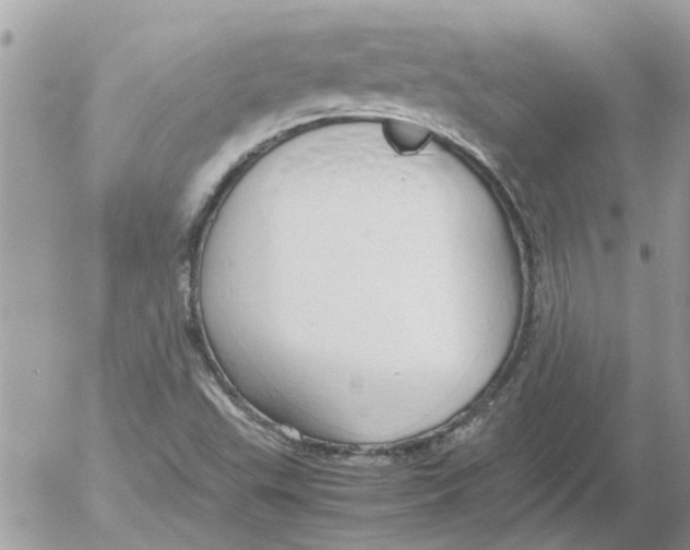 X0000052551503200507291902