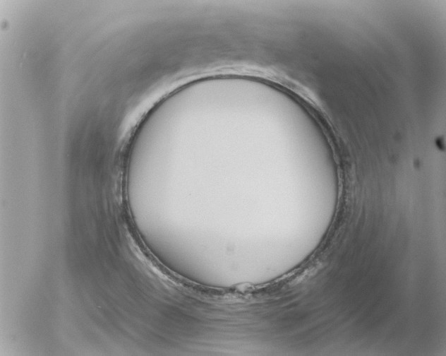 X0000052551504200507291902