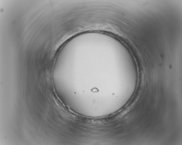 X0000052551505200507291902