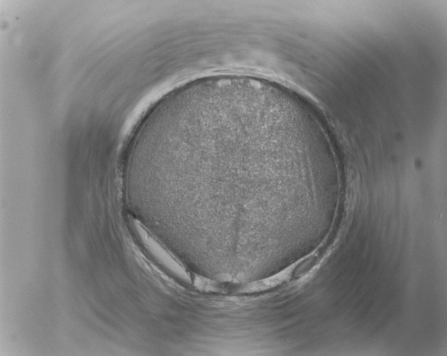 X0000052551506200507291902