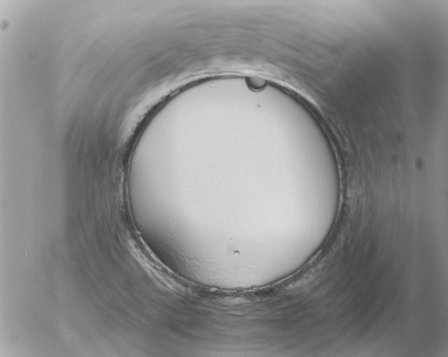 X0000052551507200507291902