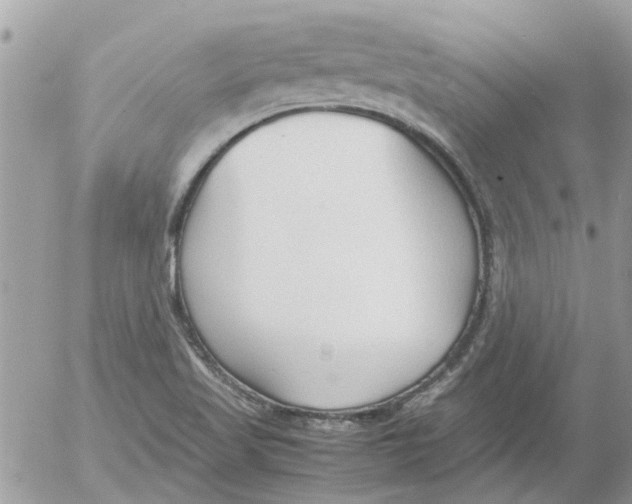 X0000052551509200507291902