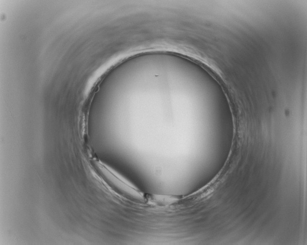 X0000052551510200507291902