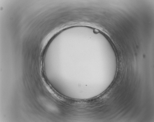 X0000052551511200507291902