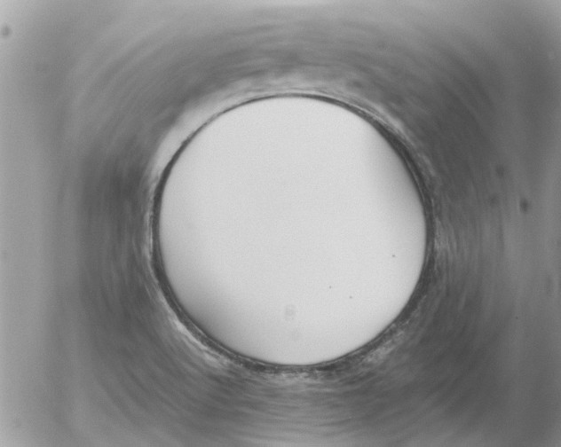 X0000052551512200507291902