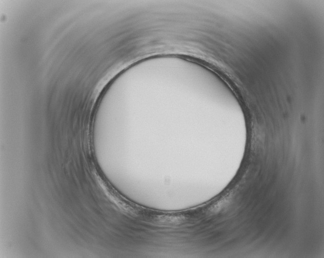 X0000052551513200507291902