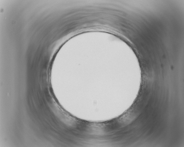 X0000052551514200507291902