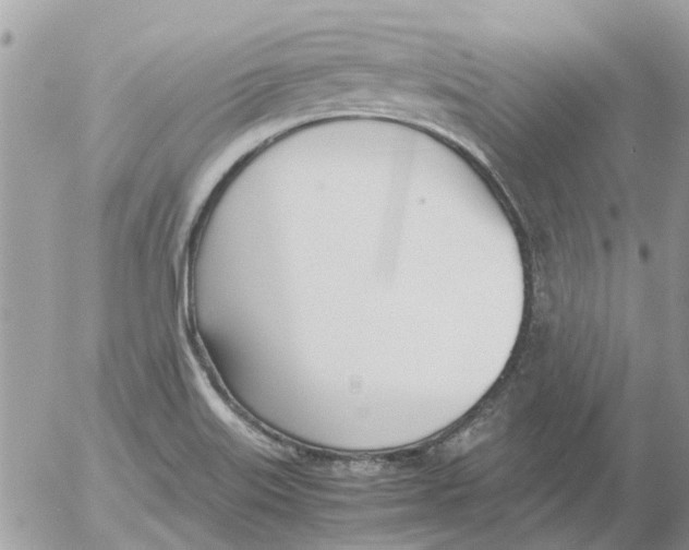 X0000052551515200507291902