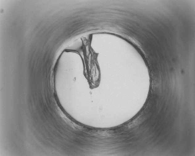 X0000052551516200507291903