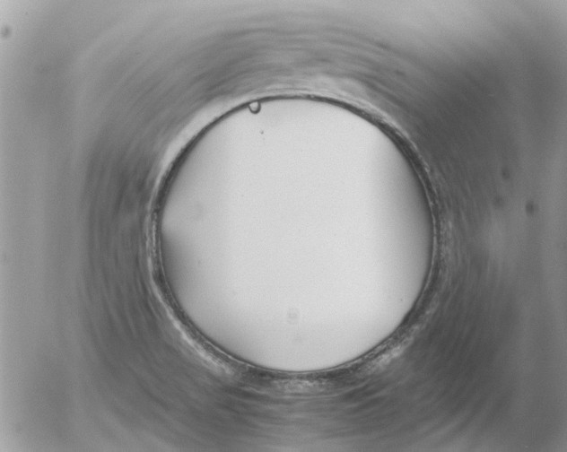 X0000052551517200507291903