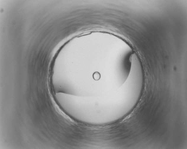 X0000052551518200507291903