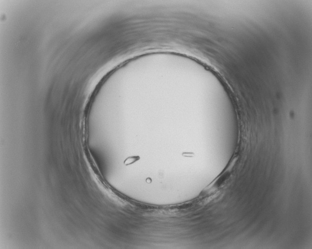 X0000052551519200507291903